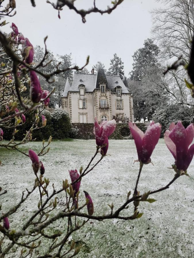 Chateau Maleplane Bed and Breakfast Saint-Léonard-de-Noblat Εξωτερικό φωτογραφία
