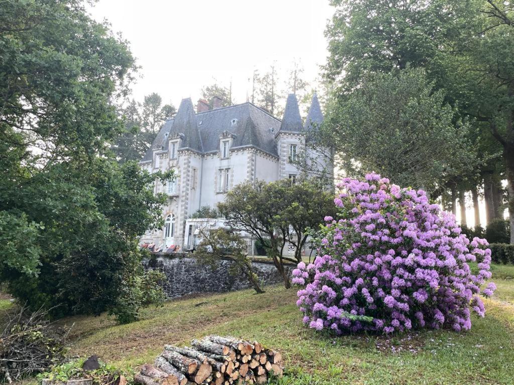 Chateau Maleplane Bed and Breakfast Saint-Léonard-de-Noblat Εξωτερικό φωτογραφία