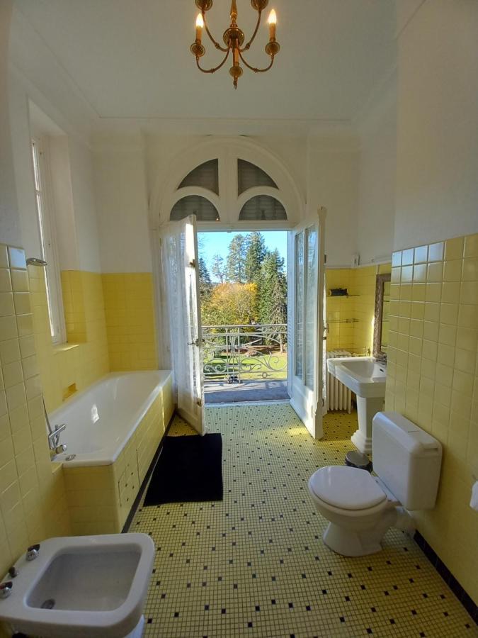 Chateau Maleplane Bed and Breakfast Saint-Léonard-de-Noblat Εξωτερικό φωτογραφία