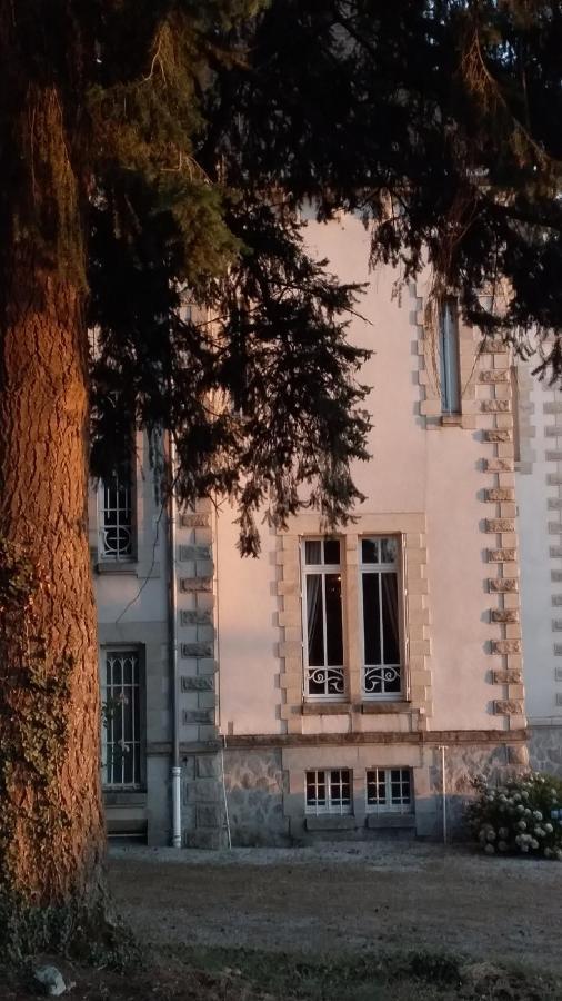 Chateau Maleplane Bed and Breakfast Saint-Léonard-de-Noblat Εξωτερικό φωτογραφία