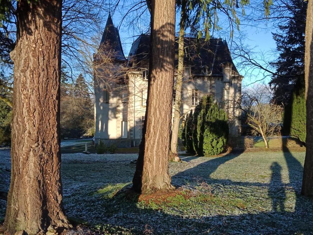 Chateau Maleplane Bed and Breakfast Saint-Léonard-de-Noblat Εξωτερικό φωτογραφία